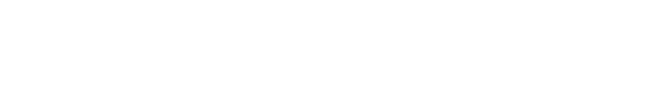 Vegas Josh's VW