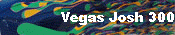 Vegas Josh 300