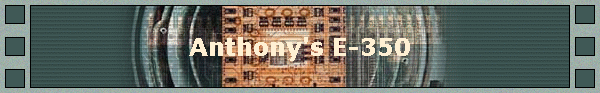 Anthony's E-350